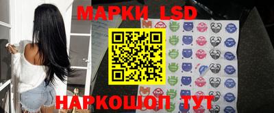 дмт Славгород