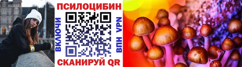 Псилоцибиновые грибы Psilocybe  как найти закладки  Сосновый Бор 