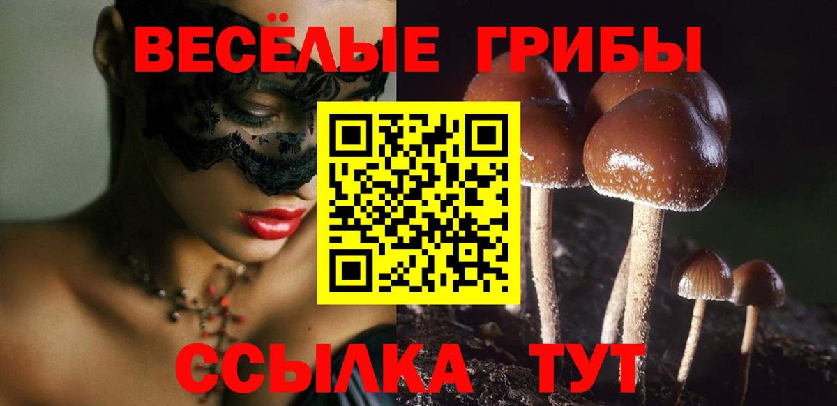 Галлюциногенные грибы мухоморы  Вход с VPN  где купить наркотик  Сосновый Бор 